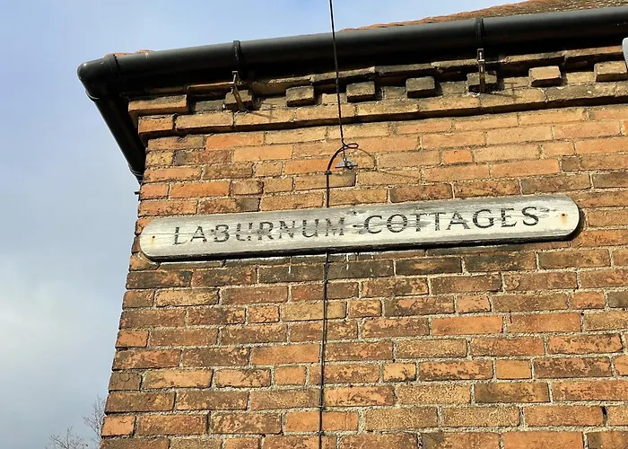 Laburnum No3 By Oracle